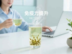 免疫力下降别硬扛!饮食男女必看石斛怎么吃,禾艾康石斛养生茶指南