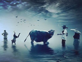 黄精补气血又去湿气！30+女性湿气重、气血亏总不好？5年实测食用方法+祛湿补血方案