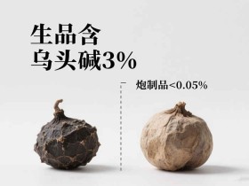 不宜泡酒的中药:附子,苍耳子,水蛭及断肠草中毒风险与安全配伍指南