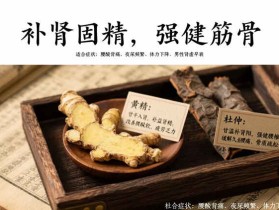 桑葚的功效与作用：黄精枸杞杜仲协同补肾强身